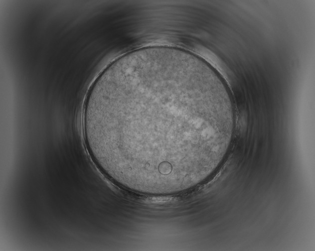 X0000094791290200712141630