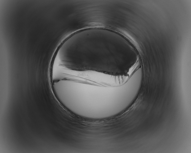 X0000094791291200712141630