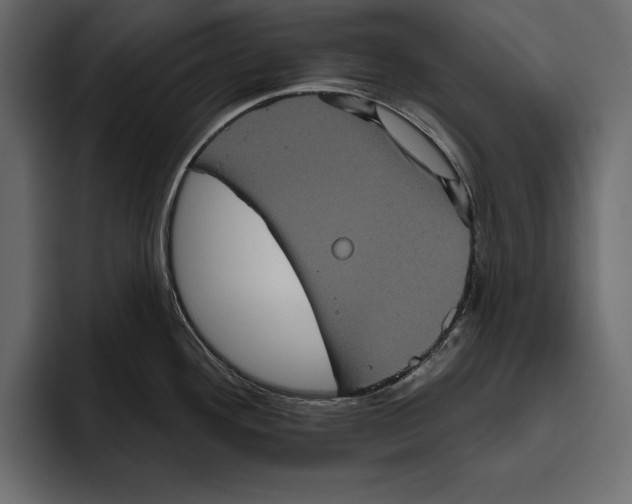 X0000094791292200712141630