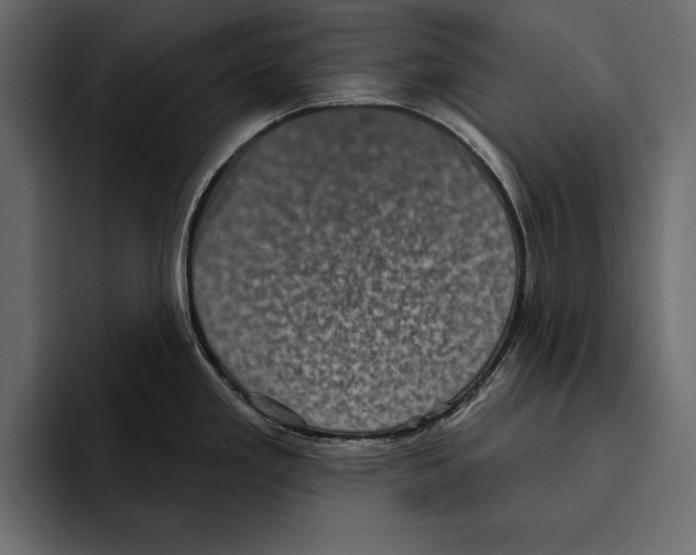 X0000094791293200712141630