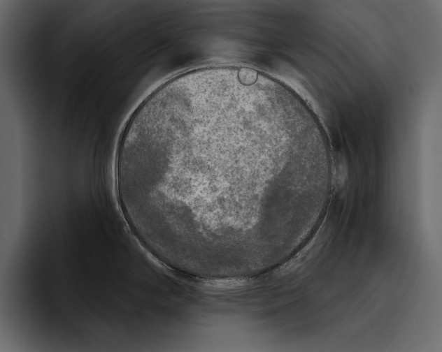 X0000094791294200712141630