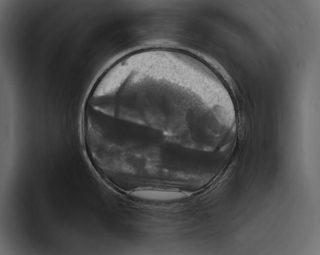 X0000094791295200712141630