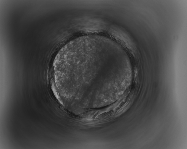 X0000094791300200712141629