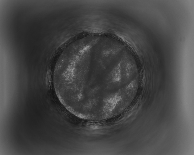 X0000094791301200712141629