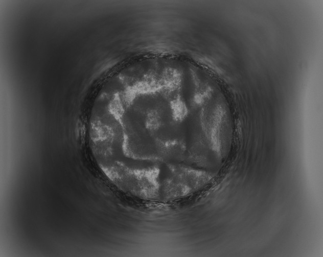 X0000094791302200712141629