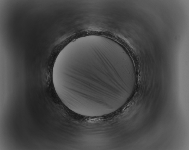 X0000094791303200712141629