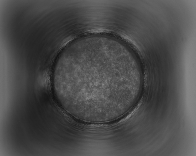 X0000094791305200712141630