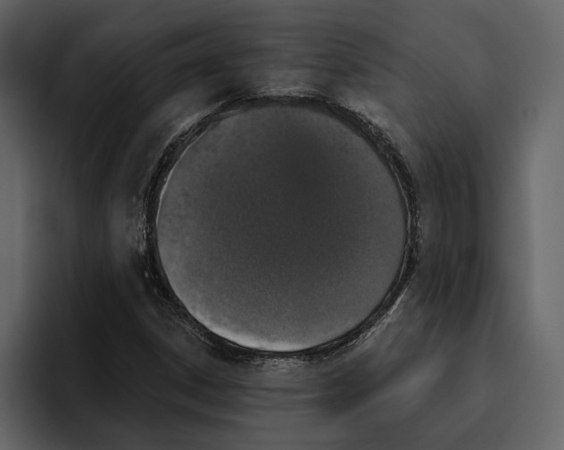 X0000094791306200712141630