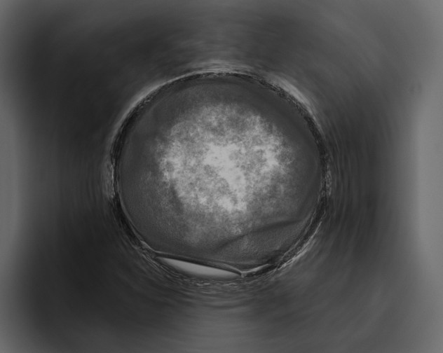 X0000094791310200712141630