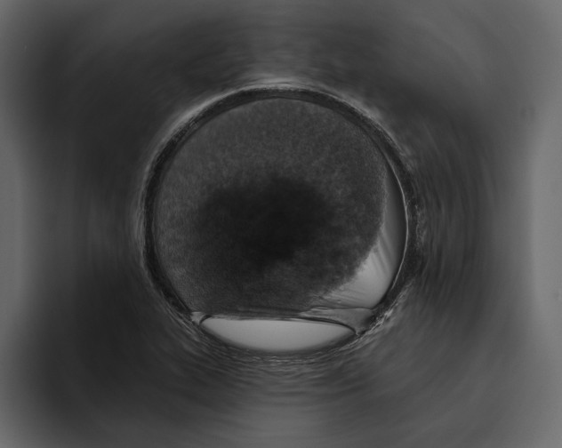 X0000094791319200712141630