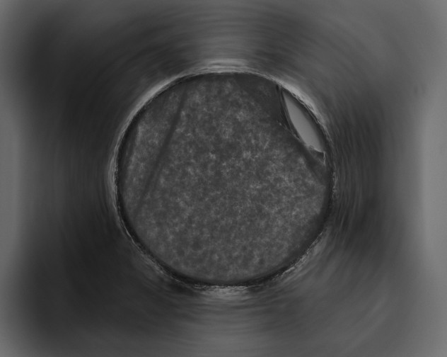 X0000094791325200712141630