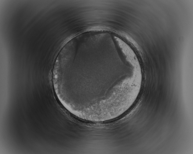 X0000094791329200712141630