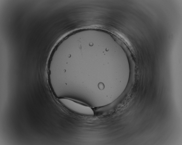 X0000094791332200712141630