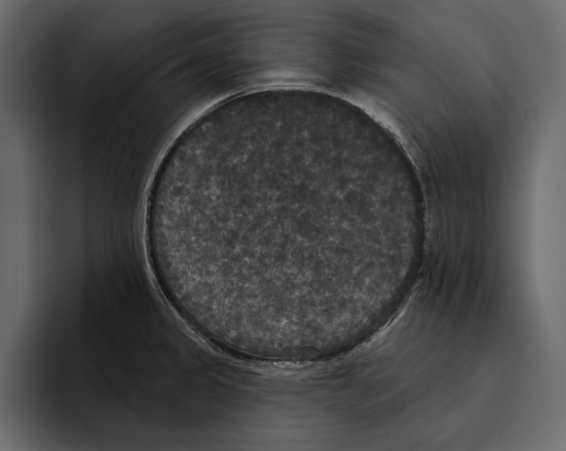 X0000094791333200712141630