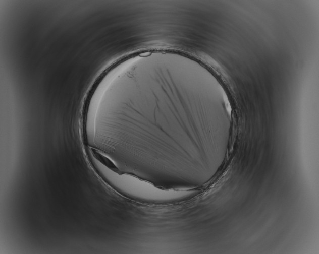 X0000094791334200712141630