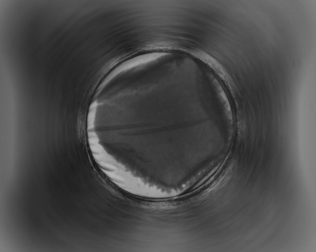 X0000094791337200712141630