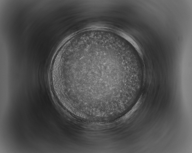 X0000094791338200712141630