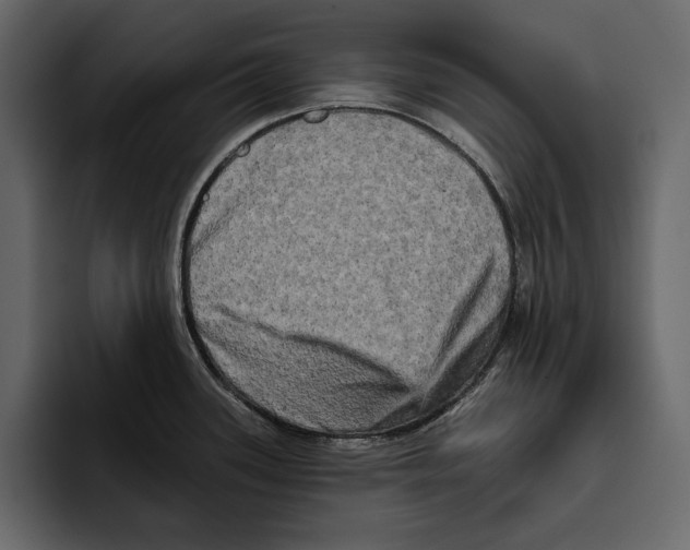 X0000094791339200712141630