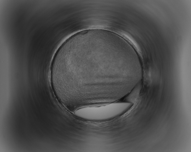 X0000094791340200712141630