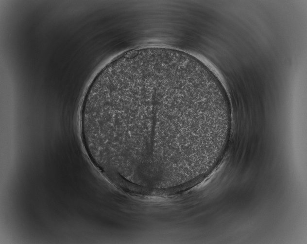 X0000094791341200712141630