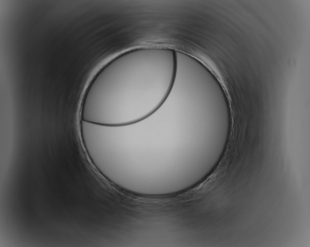 X0000094791344200712141630