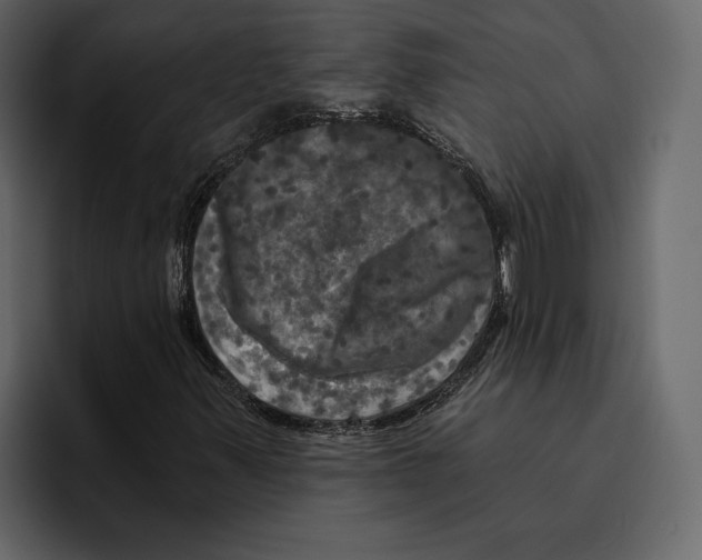 X0000094791347200712141629