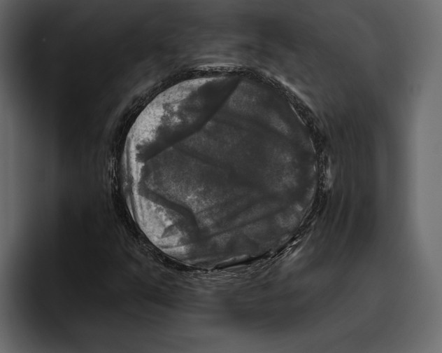 X0000094791351200712141629