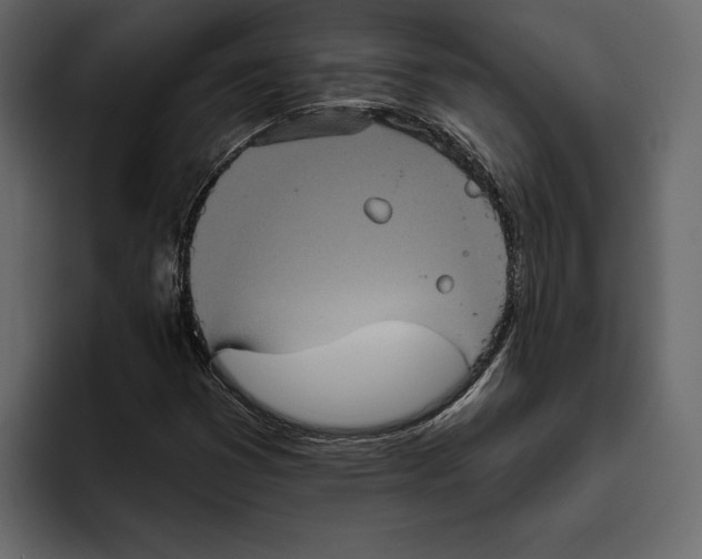 X0000094791353200712141629