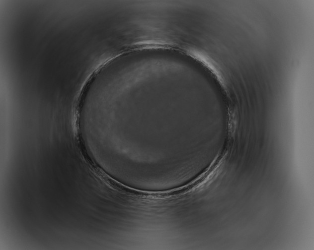 X0000094791357200712141629