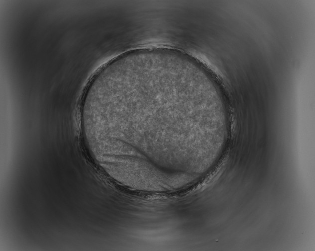 X0000094791358200712141629