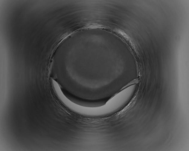 X0000094791361200712141629