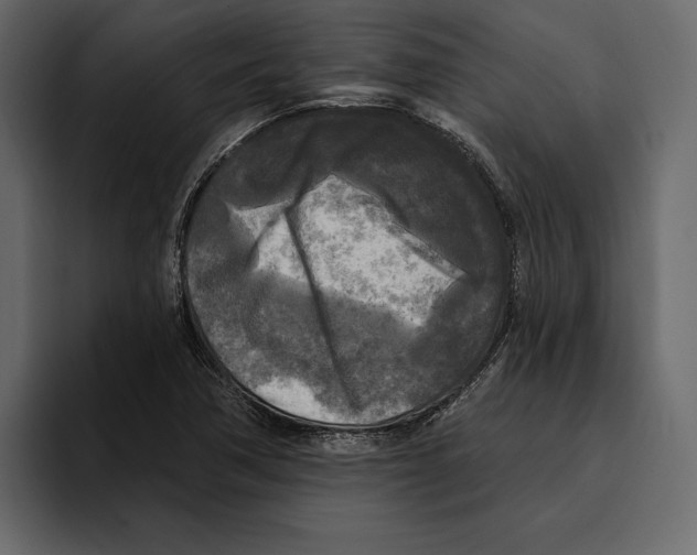 X0000094791362200712141629