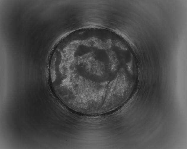 X0000094791363200712141629