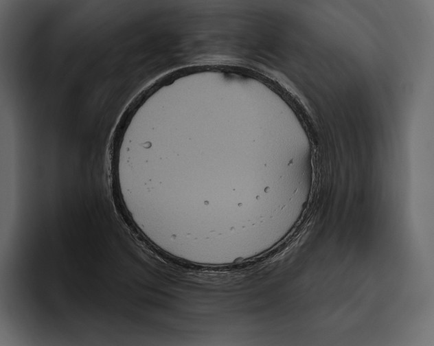 X0000094791364200712141629