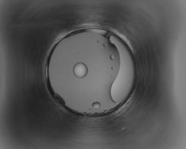 X0000094791365200712141629