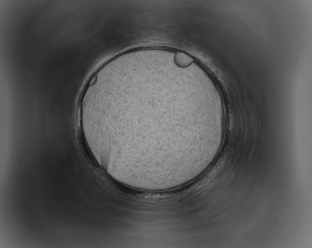 X0000094791366200712141629