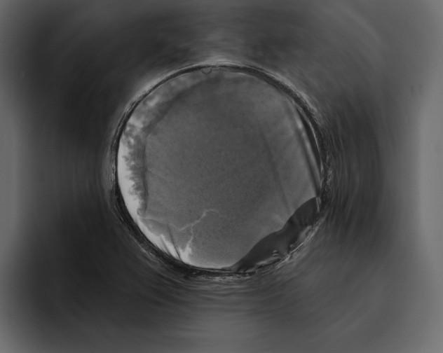 X0000094791367200712141629