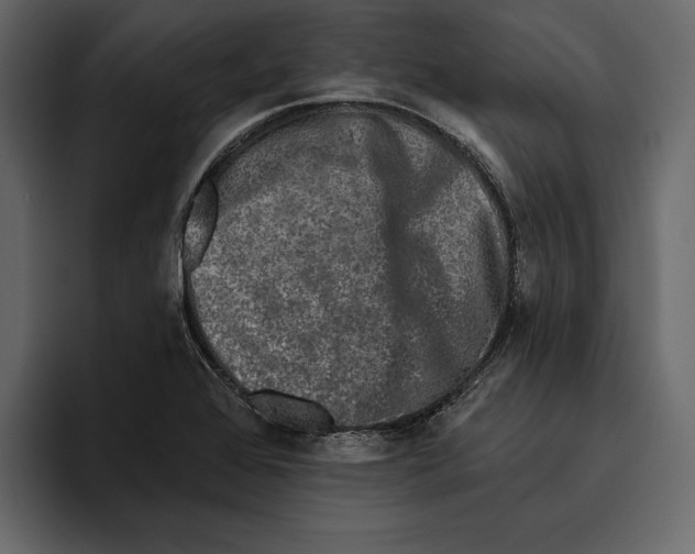 X0000094791368200712141629