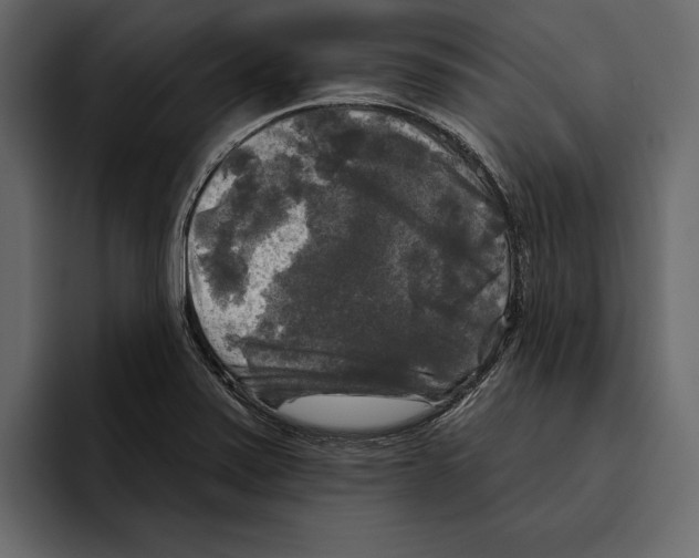 X0000094791371200712141629