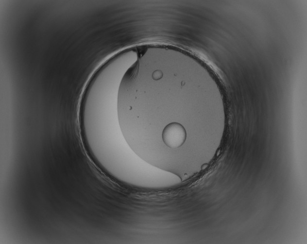 X0000094791372200712141629