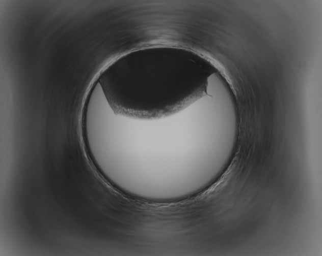 X0000094791373200712141629