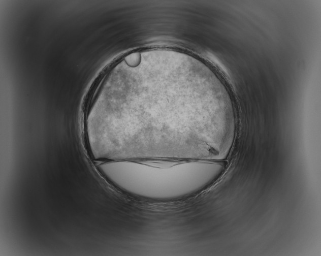 X0000094791376200712141629