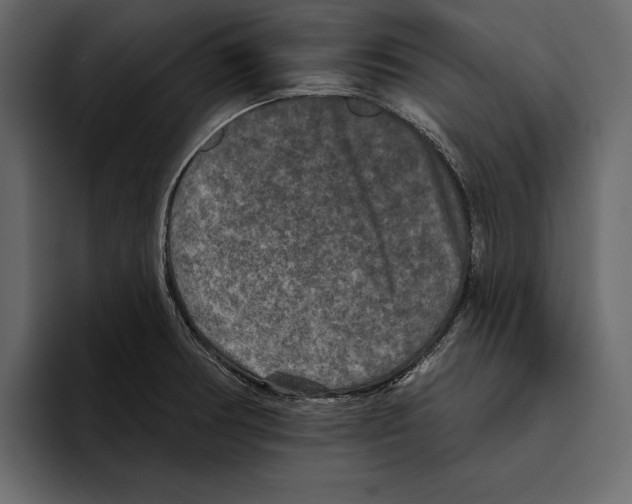 X0000094791378200712141629