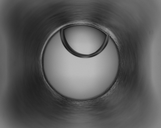 X0000094791380200712141629