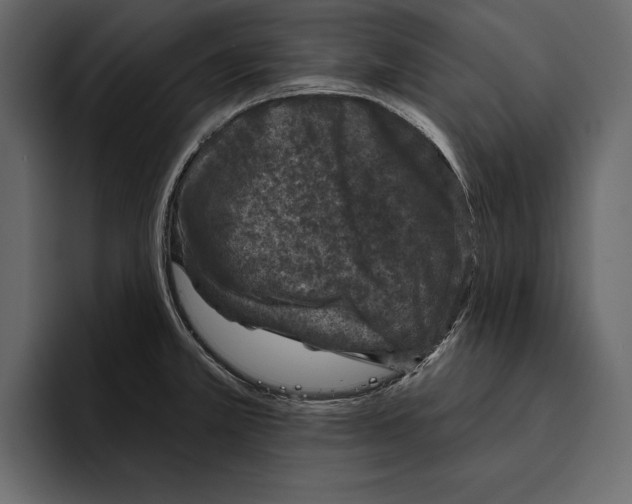 X0000094791381200712141629