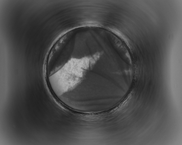 X0000094791383200712141629