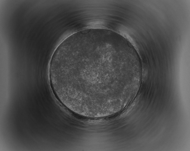 X0000094791386200712141629