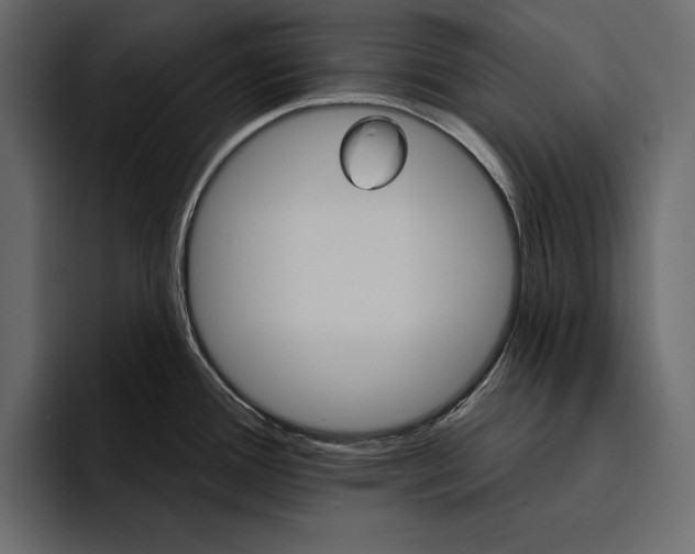 X0000094791388200712141629