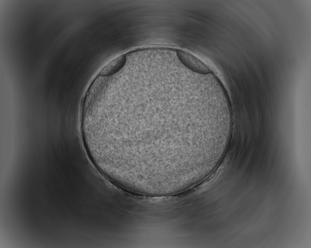 X0000094791390200712141629