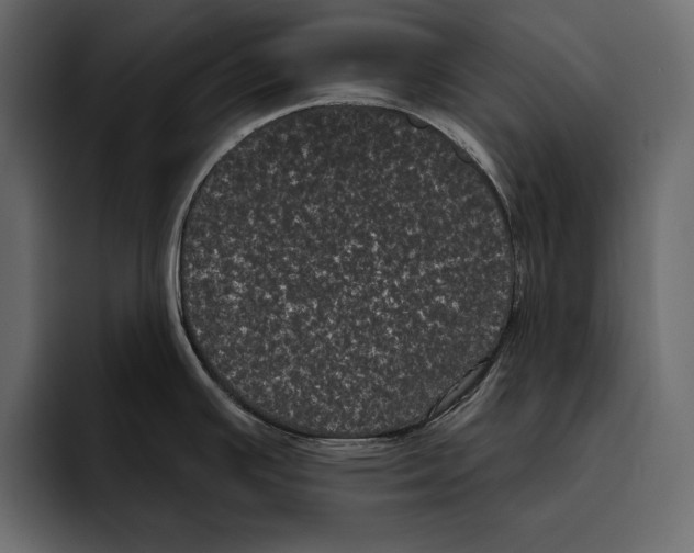 X0000094791391200712141629